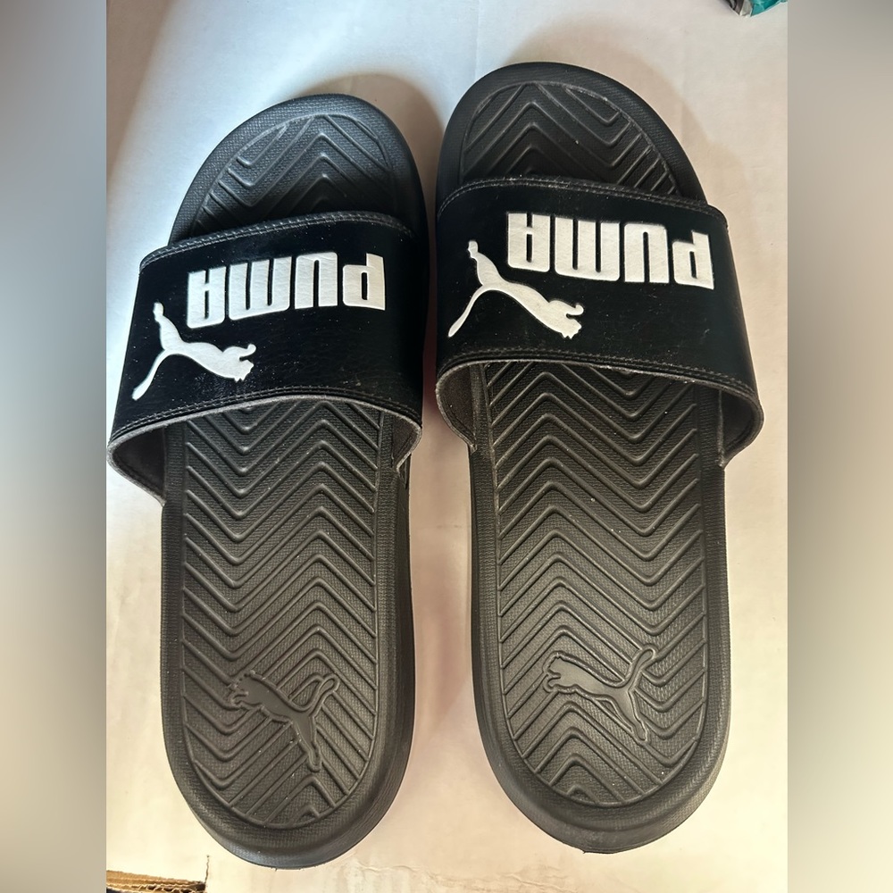 Puma slides